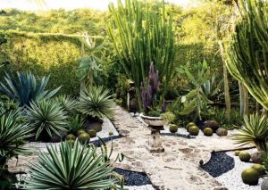Garden of Annette and Oscar de la Renta in Punta Cana Dominican Republic.jpg